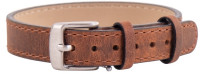braun