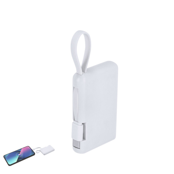 Power Bank Brandin