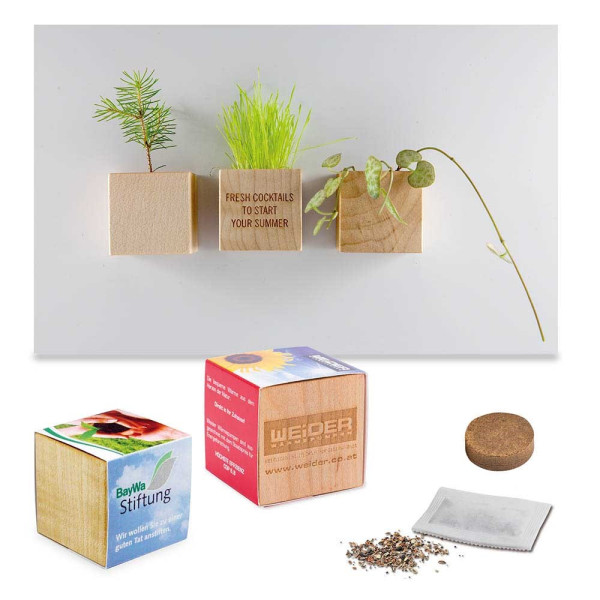 Pflanz-Holz Magnet mit Samen